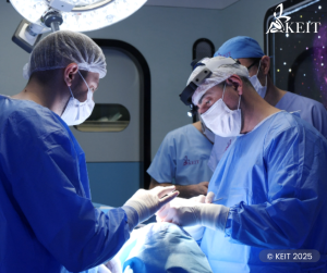 The Latest Evidence on Rhinoplasty Risks and Complications: A Mini-Systematic Review and Meta-analysis Round-Up (2024–2025)